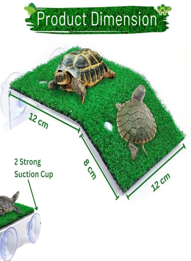 VAYINATO® CP-120 Turtle Reptile Tortoise Moss Island Basking Climbing Platform Turtle Ladder by Petzlifeworld - Image 5